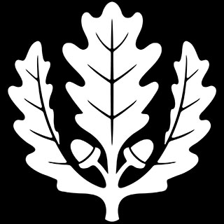 uconn oak leaf logo