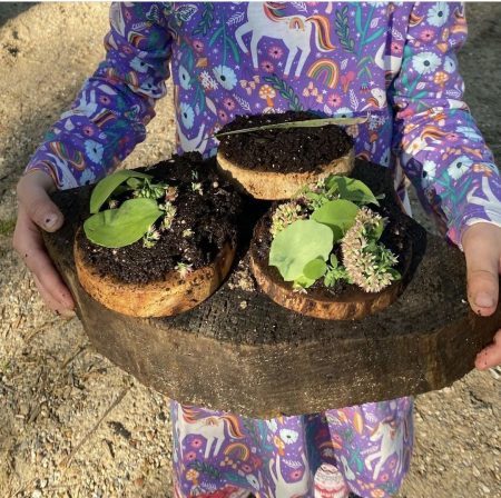 Exploring Conservation and Sustainability with Preschoolers 
