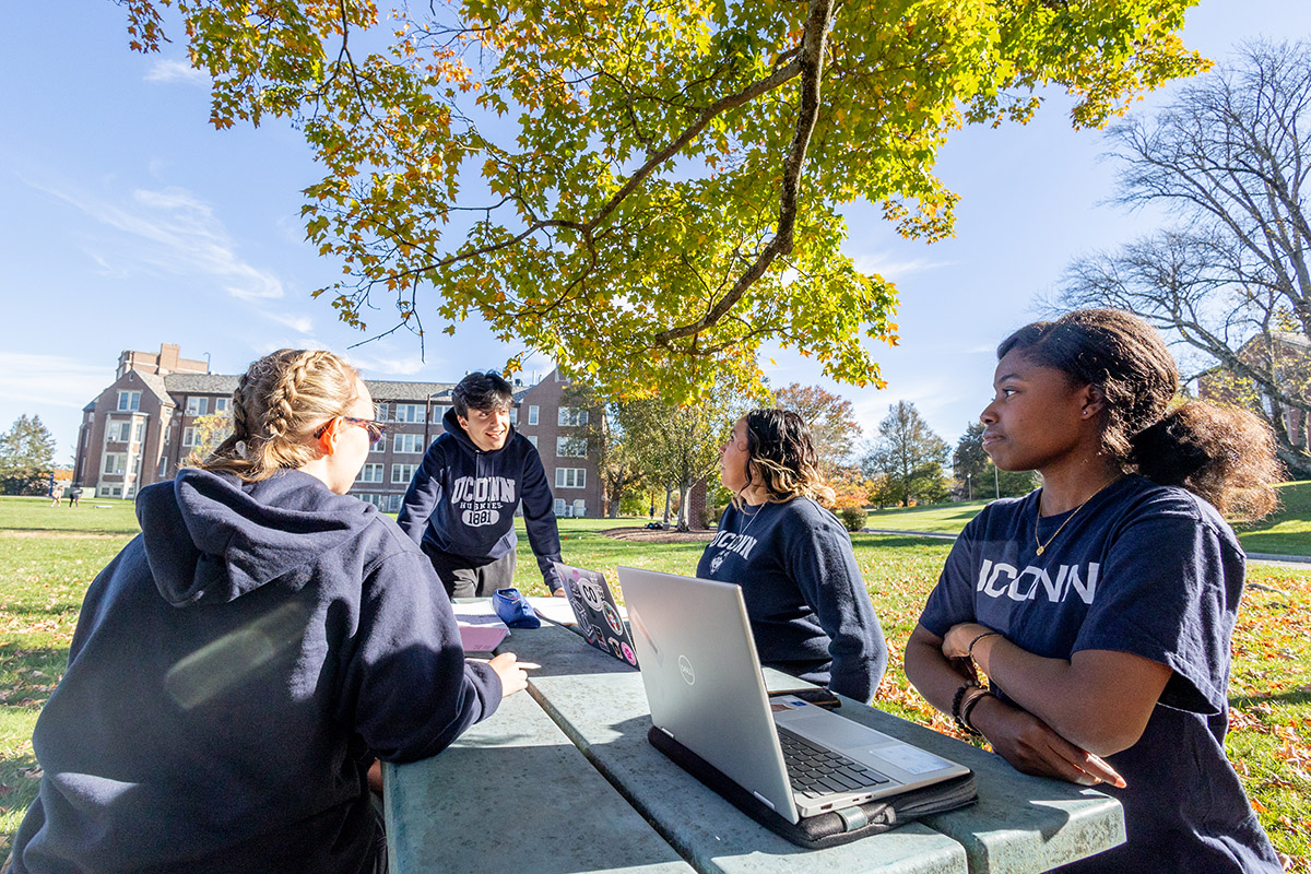 A group of students studying on the Student Union lawn.